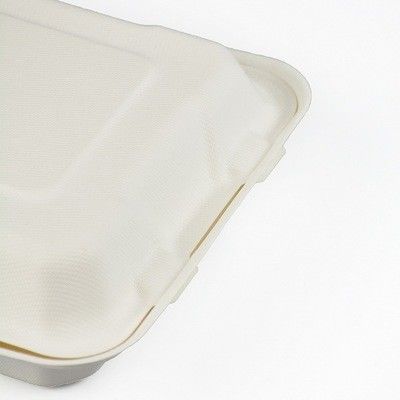 OEM ODM Biodegradable Takeaway Boxes High Temp Resistance 750ml Food Containers