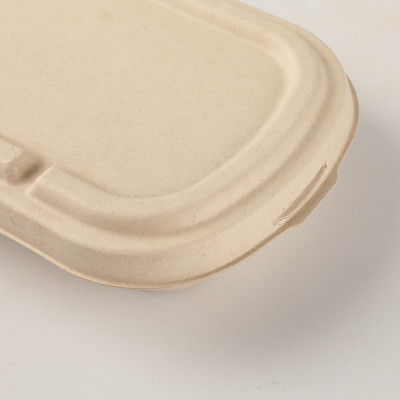 ISO Biodegradable Bagasse Fast Food Packaging Box 198*115*35mm