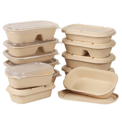 ISO Biodegradable Bagasse Fast Food Packaging Box 198*115*35mm