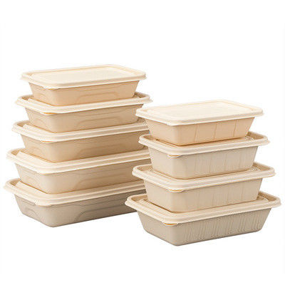 242*145*48mm Biodegradable Takeaway Boxes