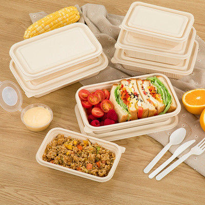 242*145*48mm Biodegradable Takeaway Boxes