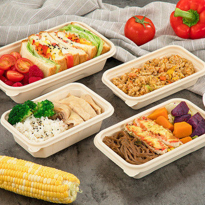 242*145*48mm Biodegradable Takeaway Boxes