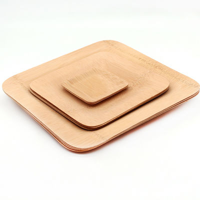 TUV 6'' To 10'' Disposable Craft Palm Leaf Bamboo Plates